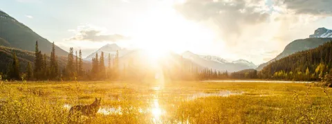 Epidémies : Rien de nouveau sous le soleil ! 
