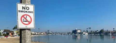 Hausse du prix des cigarettes, espaces sans tabac généralisés, puff interdite, Aurélien Rosseau présente le plan anti-tabac