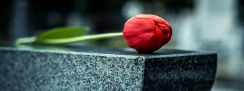 Au Royaume-Uni près de 500 patients meurent chaque semaine à cause des carences de soins d’urgence, c’est le chiffre du Royal College of Emergency Medicine