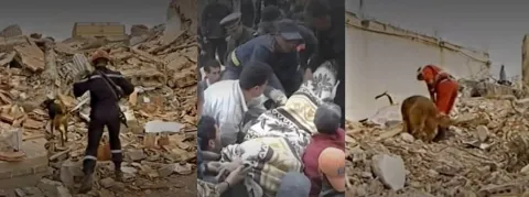 Séisme au Maroc : l’urgence, trouver les survivants parmi les décombres
