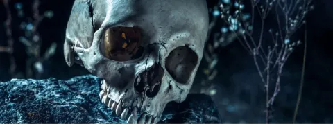 L’usine indienne à sirops mortels a enfin cessé sa production