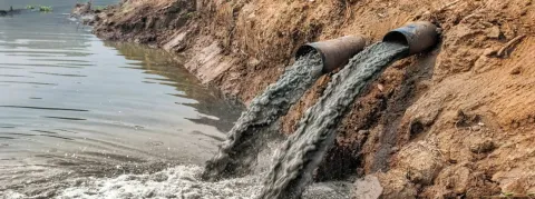 Première grande épidémie de choléra, déjà sept morts en Syrie