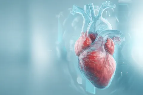 TAVI précoce : quand l’amélioration clinique rejoint l’efficience économique