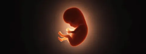 Alerte pénurie sur les tests de dépistage de la trisomie 21