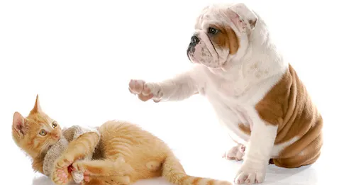 Jérôme Marty s’invite dans le débat sur l’hôpital