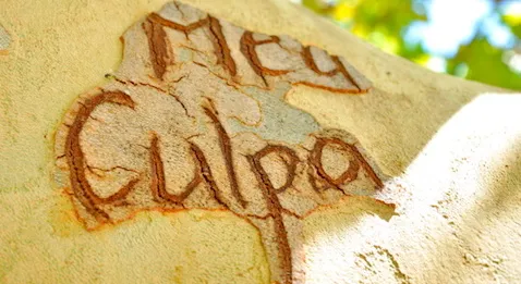 Reconnaître ses erreurs : un prix Nobel intègre en a été capable !