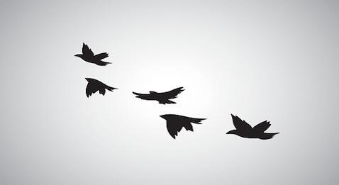 Syndicalisme : Décès du Dr Max-André Doppia