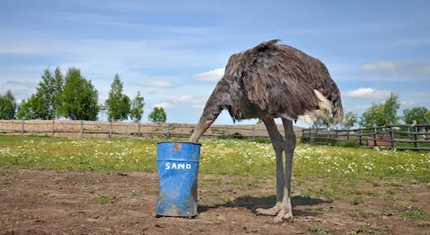 Le doyen Jean Sibilia dans la tourmente 