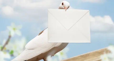 MSSanté : les échanges sécurisés décollent