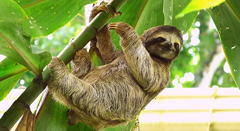 Temps de travail : le Dr Off inconnu au bataillon 