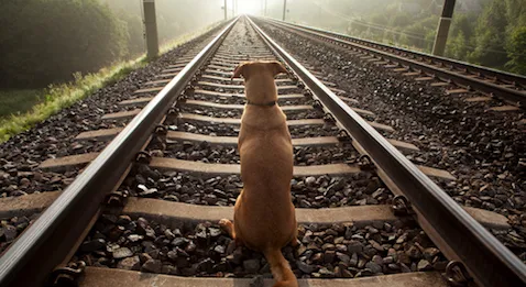 Pourquoi la réforme pourrait échouer