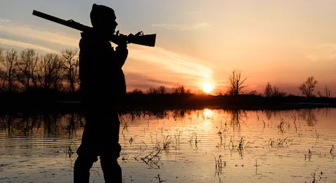 Médecins : la chasse est ouverte