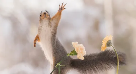 CH du Mans : Hé oh, y’a quelqu’un ?