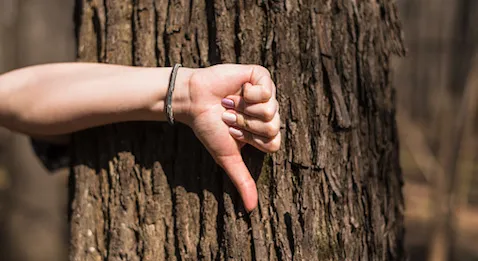 Rapport Mesnier : syndicats mitigés, twittos enflammés