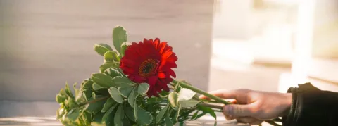 Le Choléra fait un mort, du jamais vu en 15 ans !