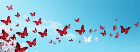 Papillomavirus : seulement 10% des collégiens de 5e ont été vaccinés pour le moment