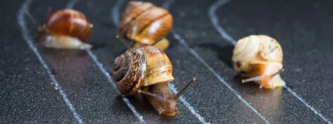 Nanotechnologie, ARN, la course mondiale aux vaccins contre le Covid continue… 