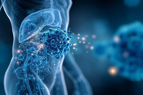 « Imfinzi change la donne : une première avancée en 30 ans contre le cancer de la vessie », entretien avec Dr Géraldine Pignot