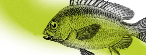 Eau rage, eau désespoir ! Quand la santé ne fait pas bon ménage avec l’élément aquatique