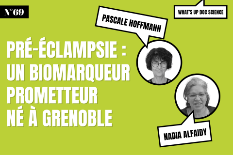 Pré-éclampsie : un biomarqueur prometteur né à Grenoble