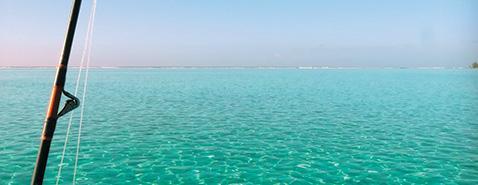 Une intégration sociale limitée