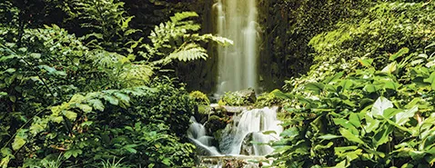 Bons conseils avant le départ