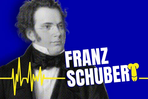 Quand le traitement tue : Schubert victime du mercure