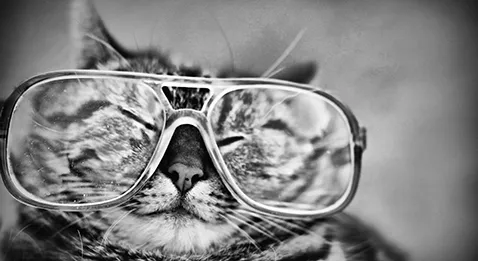 Le numérique arrive dans les cabinets d'ophtalmo