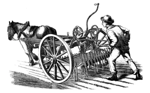 Installation : quand les jeunes médecins préfèrent la cambrousse