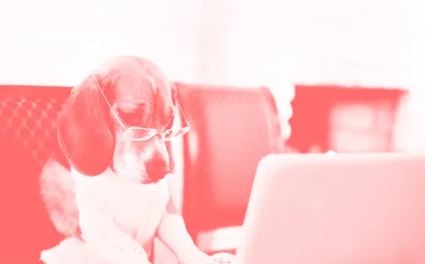 LES 4 COMMANDEMENTS  DU BON TÉLÉCONSULTANT