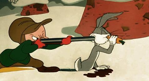 What's Up Doc a besoin de vous sur Instagram
