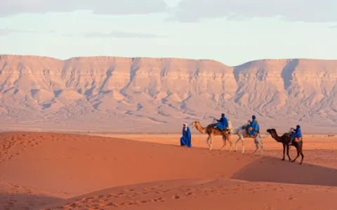 Liberté d’installation menacée par Mélenchon : l’Isni reçue par la France insoumise