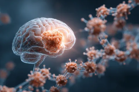 Après 20 ans d’attente, la mise sur le marché d'un traitement contre un cancer du cerveau rare vient d'être validée par l'UE