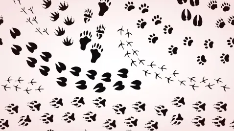 Cancer : des applis pour optimiser le suivi