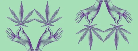 Le gouvernement propose d'autoriser le cannabis thérapeutique dans certains cas 