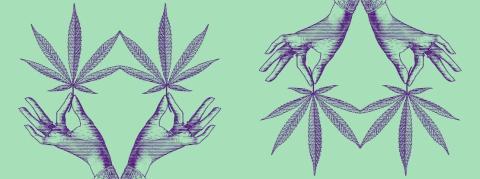 Le gouvernement propose d'autoriser le cannabis thérapeutique dans certains cas 