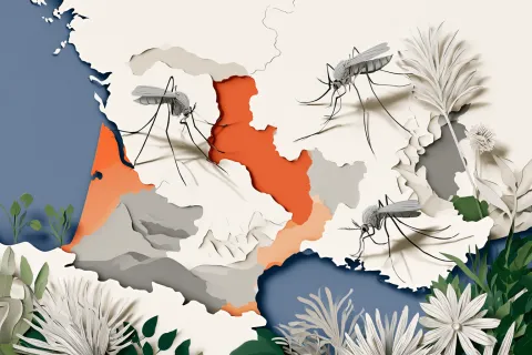 Chikungunya, West Nile : nouvelles contaminations locales dans le sud de la France