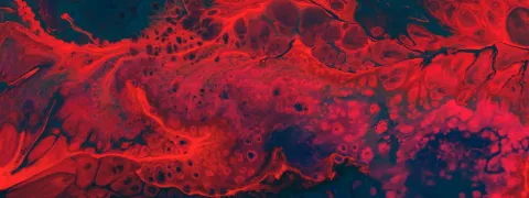 La Croix-Rouge américaine met fin aux restrictions de don du sang liées à l'homosexualité