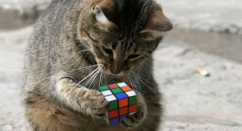 Conseil supérieur des personnels médicaux : le casse-tête 