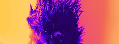  Mercure, pesticides, plastifiants,"terres rares"... ils sont tous présents dans les cheveux des sénateurs français selon une étude 