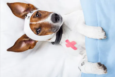 Chirurgie esthétique humanitaire, WTF ?