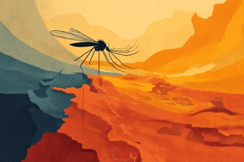 Après un été record, la flambée du chikungunya marque enfin une pause 