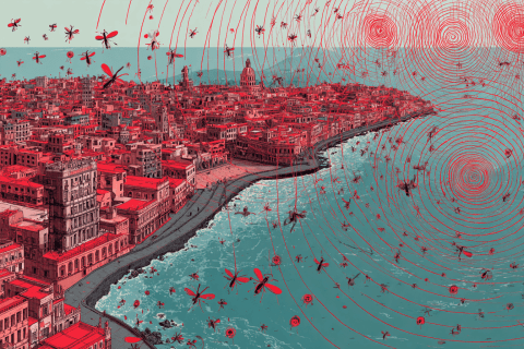 Chikungunya : Cuba submergée par une épidémie hors de contrôle