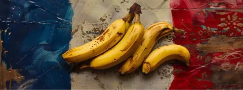 Scandale du chlordécone : la responsabilité de l'État français reconnue... en tout cas par les députés