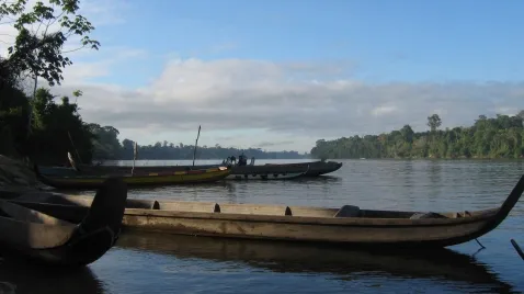 Choix de stages : les choses reprennent leur cours