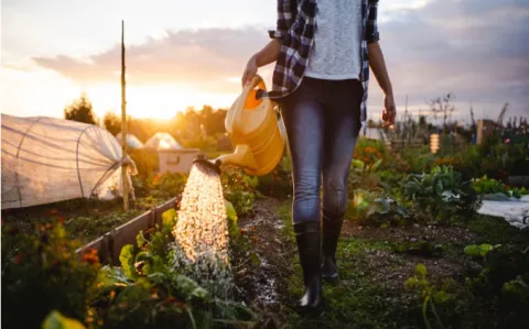 Pau : 1 jeune médecin (et 1 kiné) anticipent la désertification médicale !