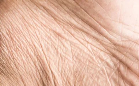 Simulation médicale : dans la peau du chirurgien