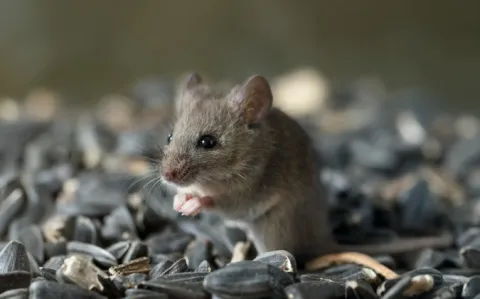 Plan de sauvetage de l'hôpital : pschiiiit ?