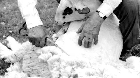 Médecins à 23€ vs. coiffeurs à 30€. Episode #1 : la comparaison a-t-elle un sens ? 