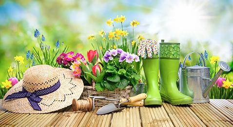 Cultiver son jardin